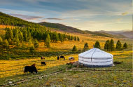 Enrichment Journey to Mongolia & the Gobi Desert