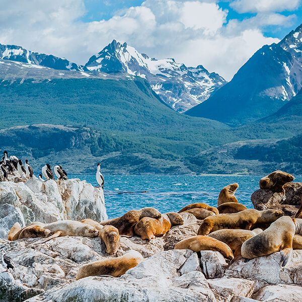 Patagonia: Journey to the End of the World